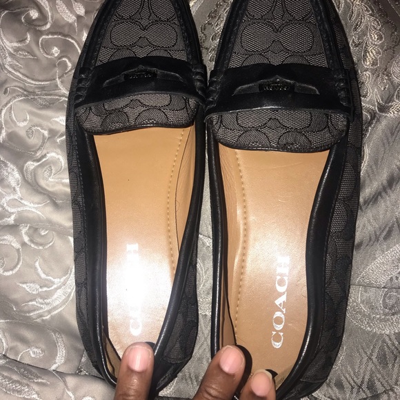 Coach - Picture 7 of 7